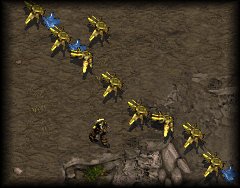 What is it about worker rushes in games that I report?