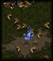 Zeals have the best death sequence in Brood Wars by miles =]