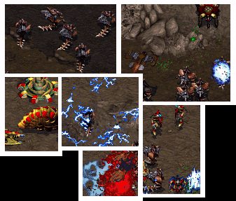 The revenge of a zerg...