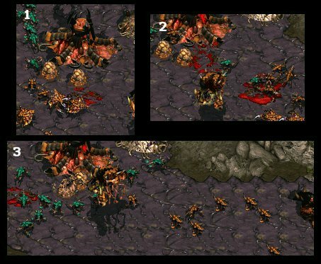 I'll warn you now, unlike in my last report, these players actually guard their expansions!!! So don't expect much from these wussies :P.