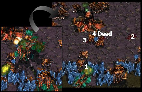 And this is why you can't cuss him out enough.  Come on play like and idiot err... man and frontal my Hydralisks!!