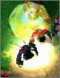 Mortar fire landing on druids of the talon.
