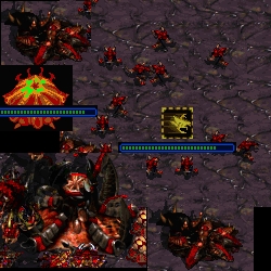 Macro + Zerg = Thanks