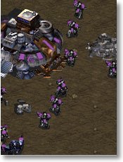 'Fenix: I helped! I helped!@!'