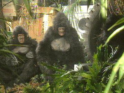 My monkey's uncle