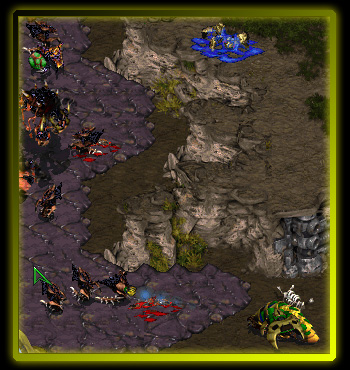 The little reaver that couldn't