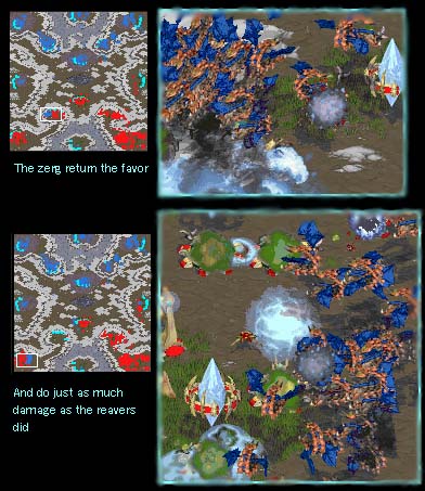 Zerg on offence=owch