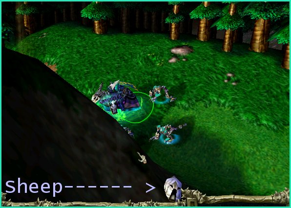 is it me or does the sheep look a bit korean ?