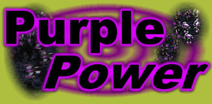 I wish I knew what the deal with purple was..  Then I'd be a cool kid.  Oh well, atleast I know what gosu means.