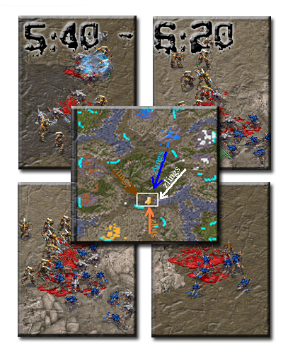 zealot 

wall